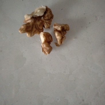绵核桃去皮干