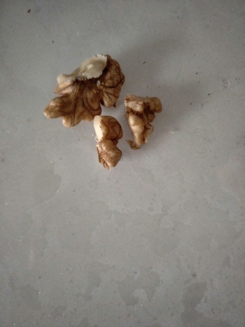 绵核桃去皮干