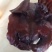 猪头肉