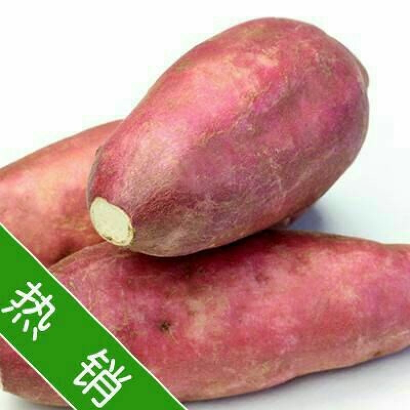 商薯19红薯白心