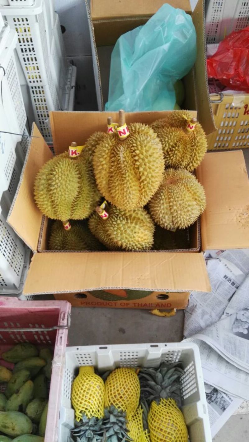 泰国榴莲