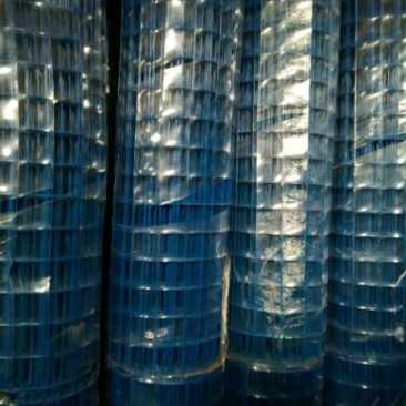 荷兰网50*50mm