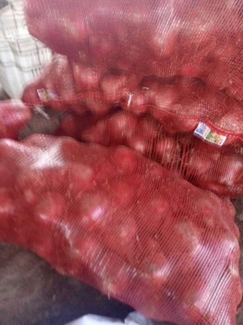 优质洋葱山西产地直销红皮洋葱量大价优