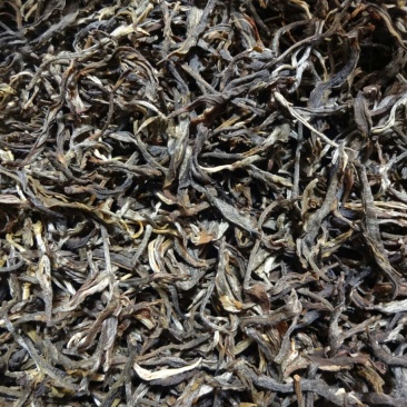 百年大树茶特级