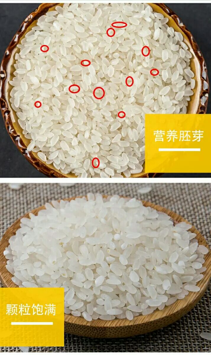 南粳5055_南粳9108有什么缺点_南粳9108大米品质怎样