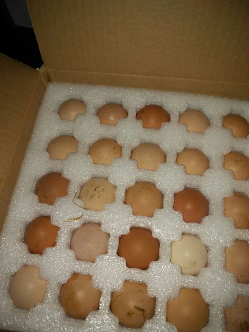 土鸡蛋食用40~50g