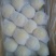 皇冠梨300~350g纸箱