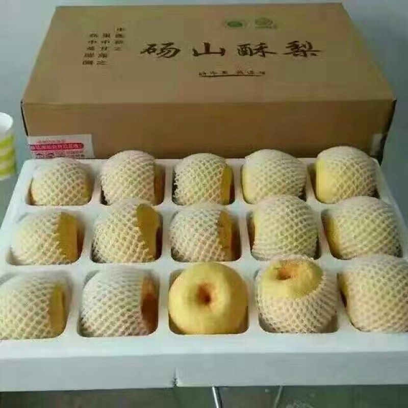 晚秋黄梨膜袋