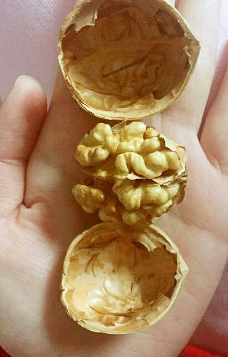纸皮核桃