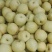 砀山梨350~400g光果