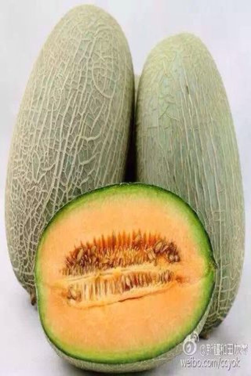 西州蜜瓜