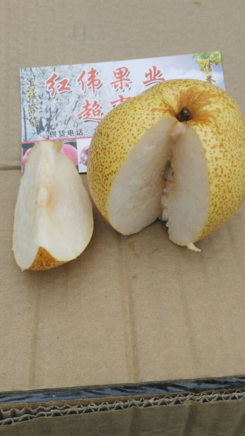 砀山梨300~350g纸箱