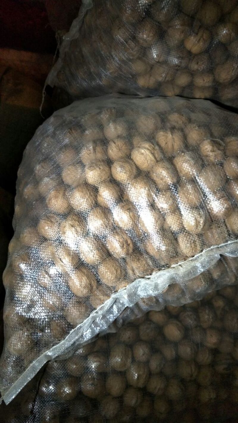 薄皮核桃去皮干