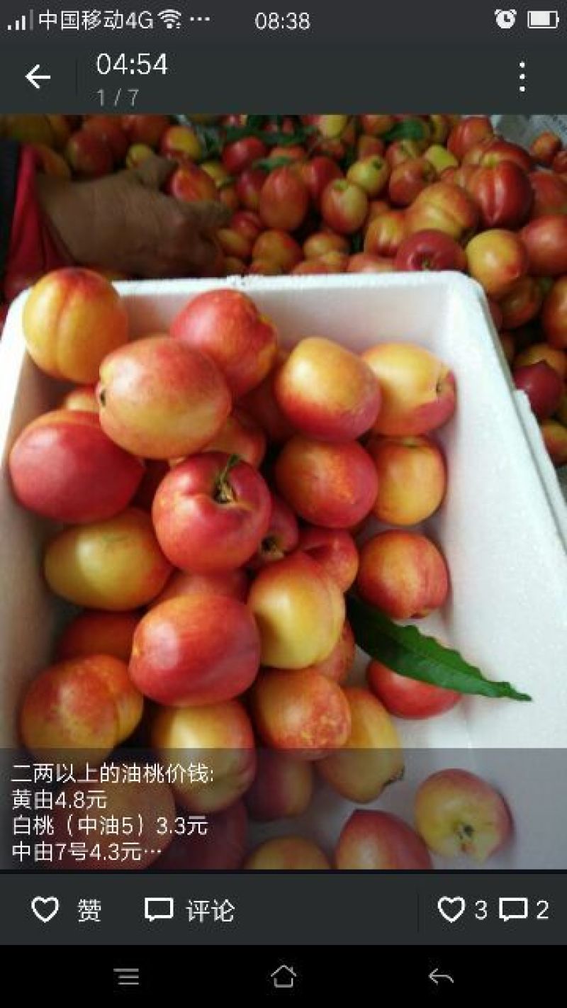 油桃2两以上