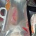 野鲤食用1~2公斤