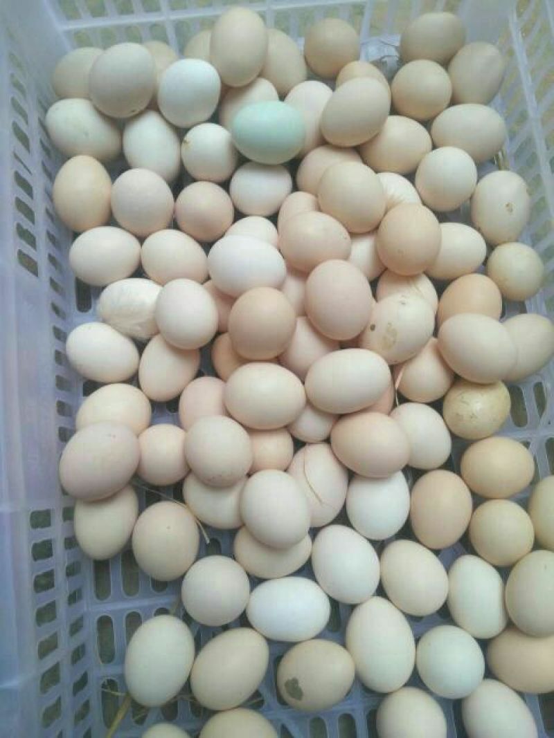土鸡蛋食用50g以下