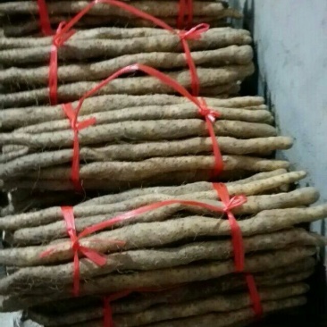 垆土山药3~4厘米特级