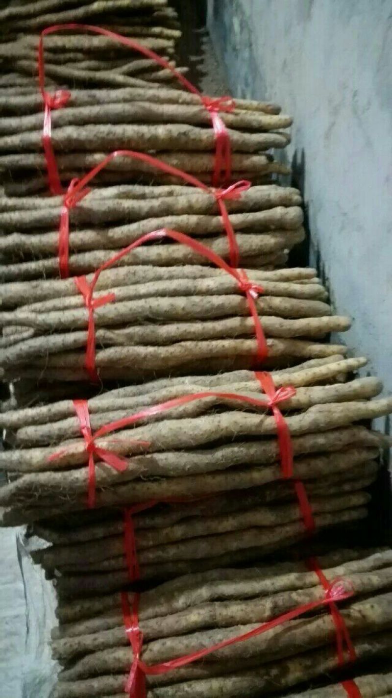 垆土山药3~4厘米特级