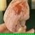 柿饼1~2两
