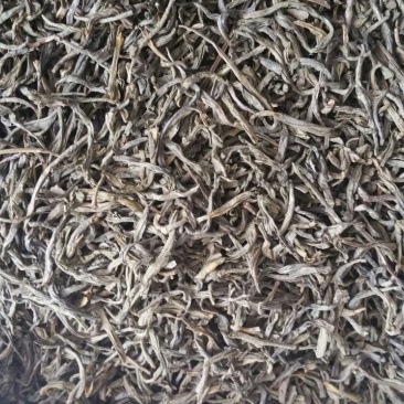普洱茶