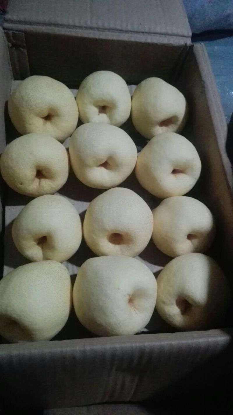 酥梨350~400g纸袋