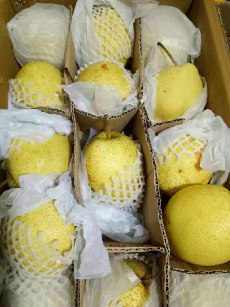 雪花梨250~300g纸箱