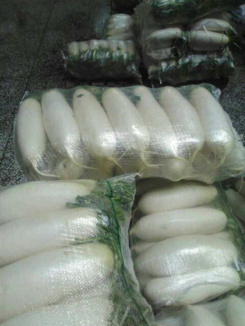 白萝卜1.5~2斤起