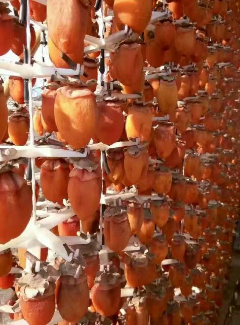 柿饼1~2两