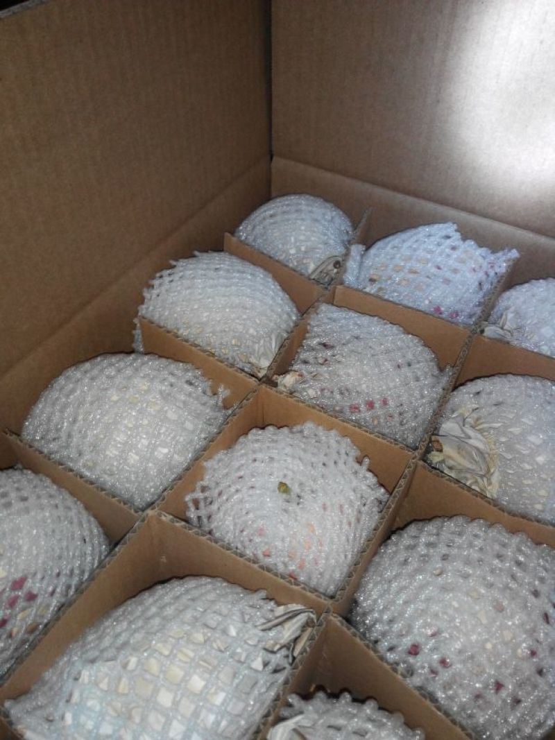 酥梨150~200g纸袋