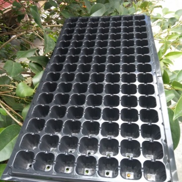 穴盘105孔