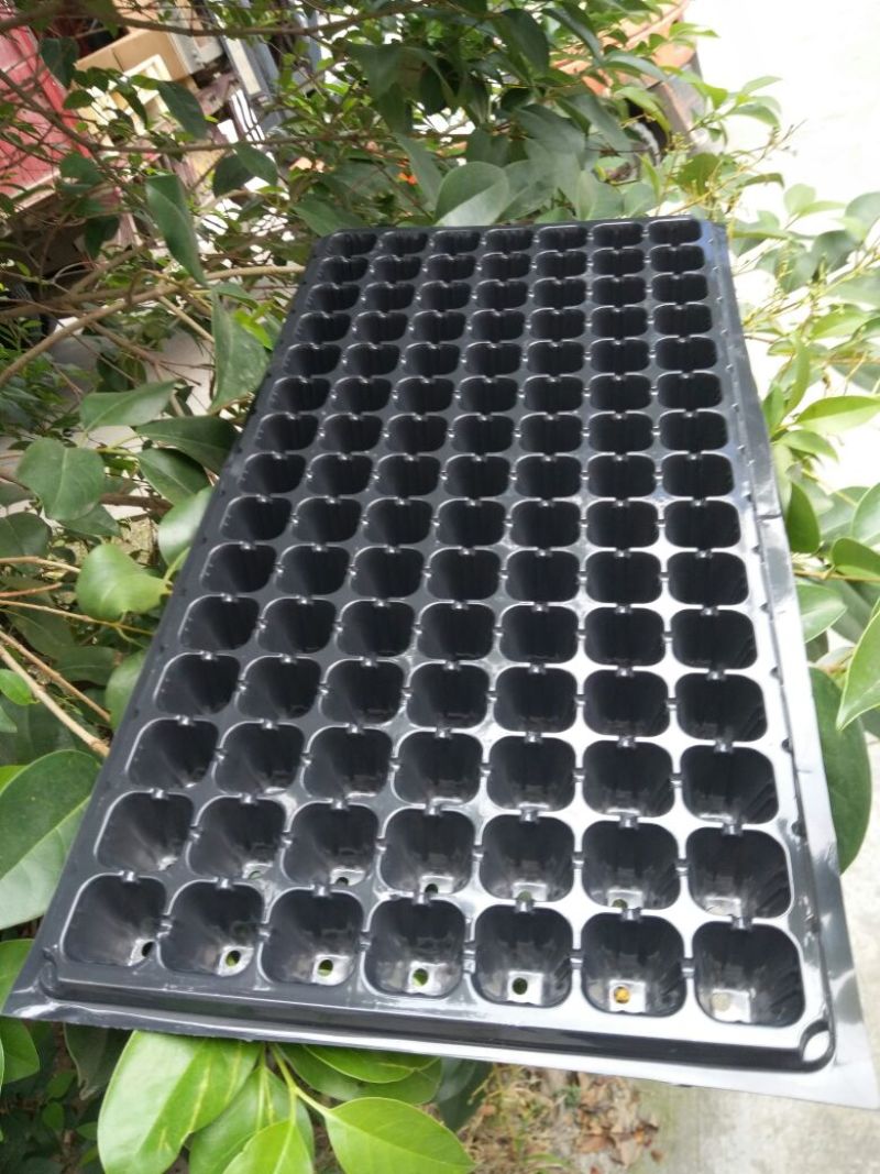 穴盘105孔