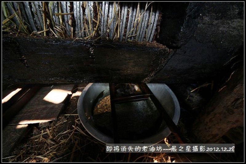 粮油作物