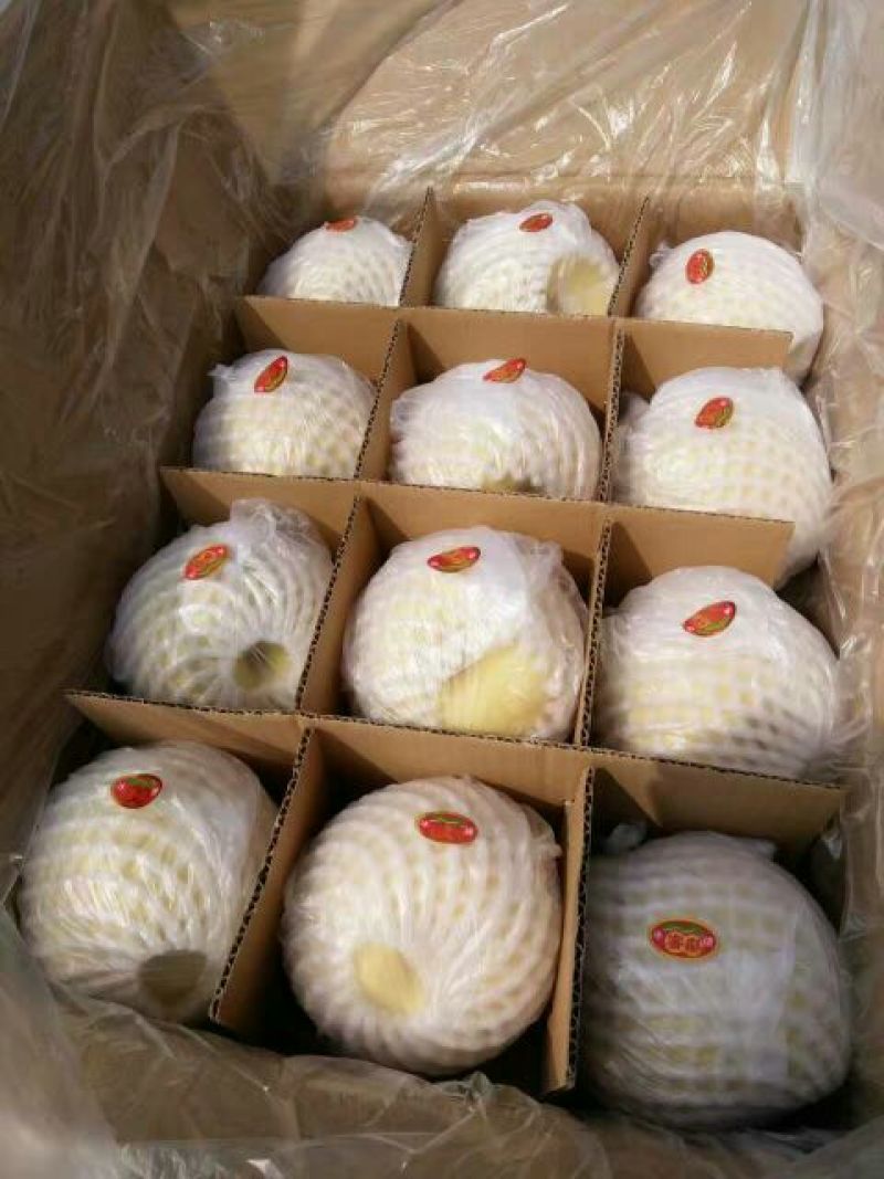 贡梨400~450g纸箱