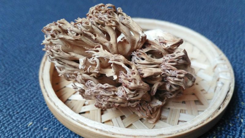 珊瑚菌鹿茸菇野生菌干货