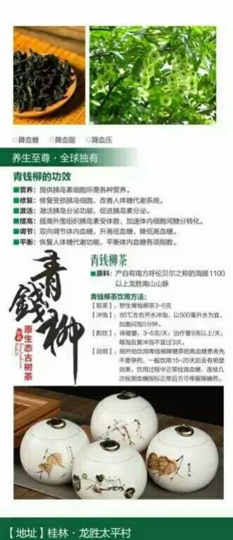 青钱柳茶特级