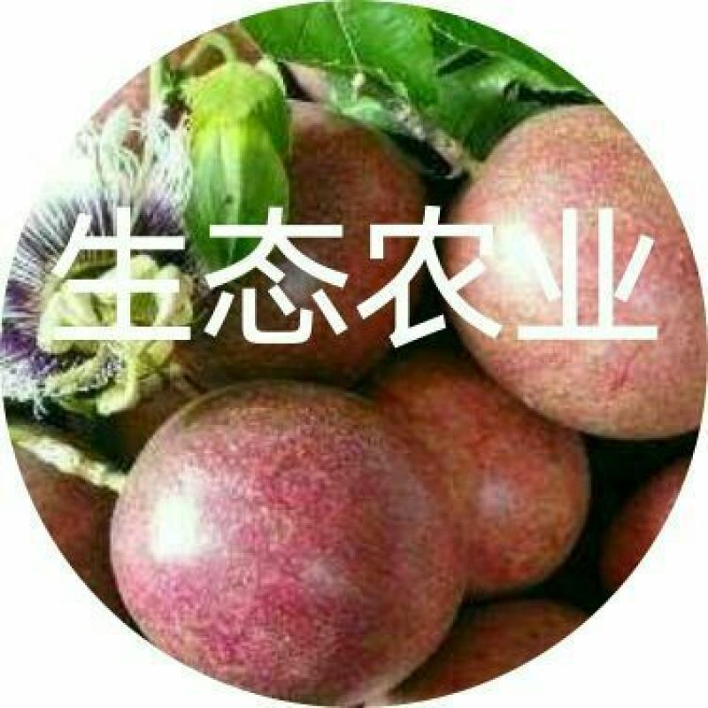 水果