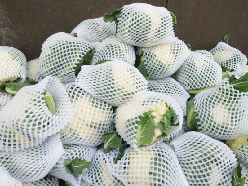 菜花2斤紧密乳白质量好价位合适希望前来洽谈