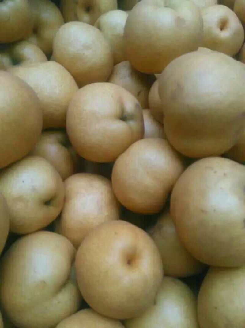爱宕梨60~100g纸加膜