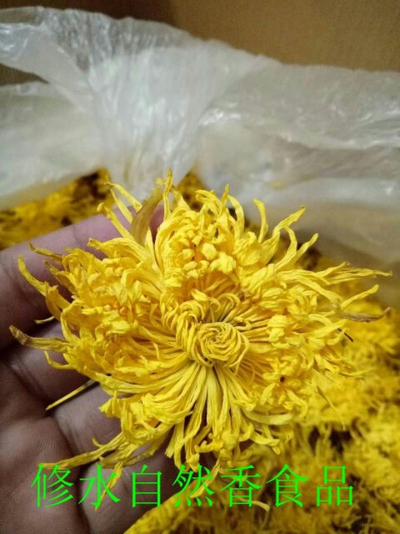 菊花茶