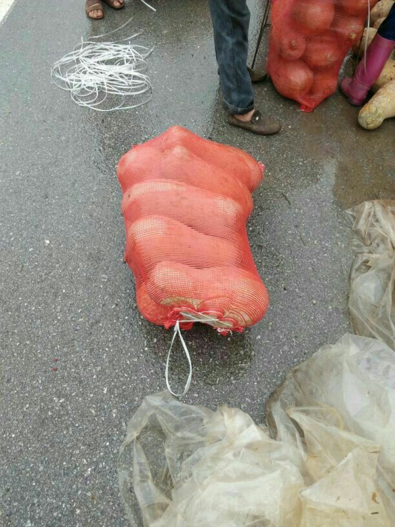 【商超超市】又面又甜金韩蜜本南瓜品质好可视频