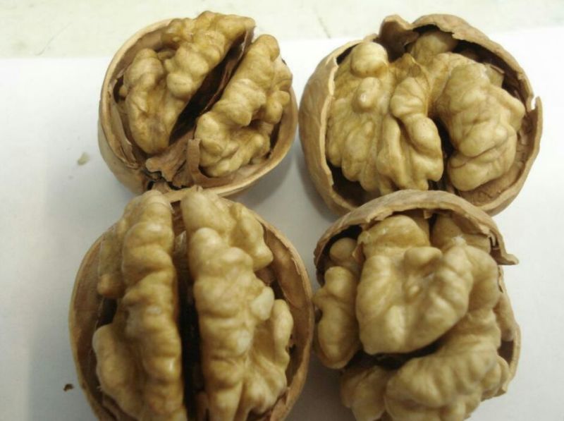 薄皮核桃去皮