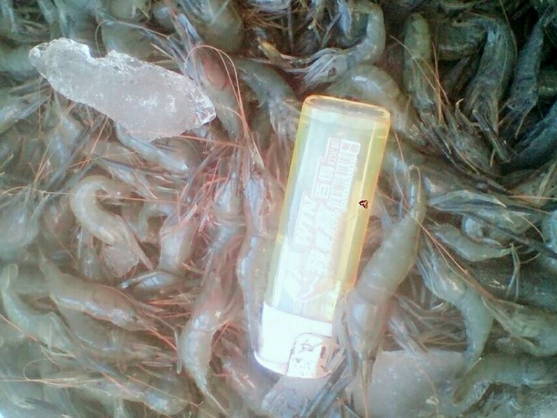 河虾活虾21~25只/kg