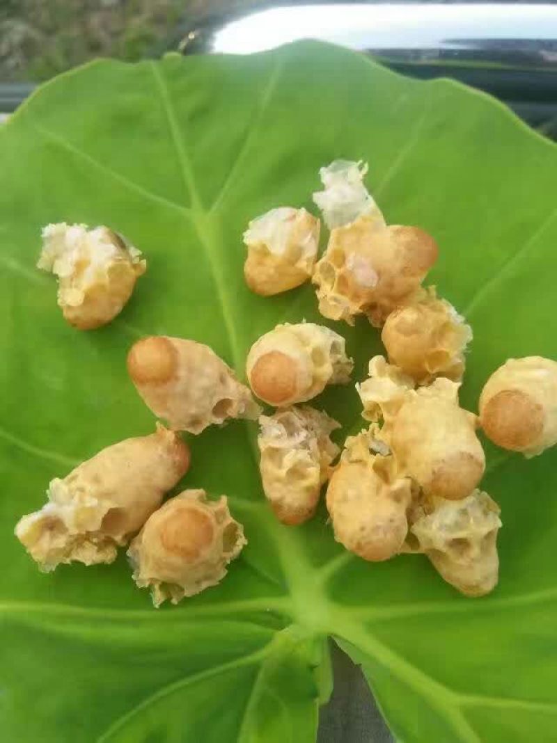 蜂蜜