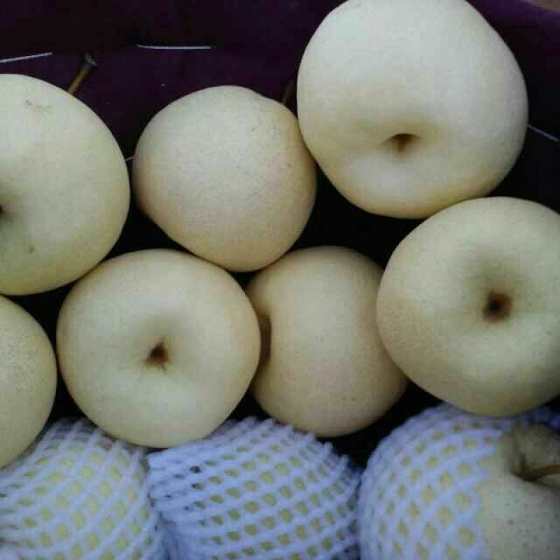 贡梨150~200g纸袋