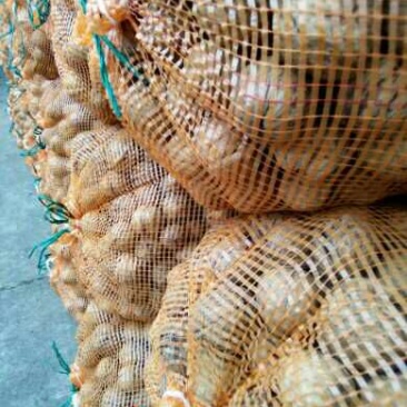 薄皮核桃30mm以上去皮干