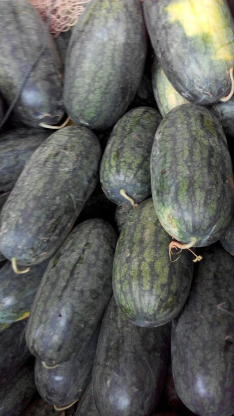 广西南宁市西乡塘区小富西瓜 5斤打底 8成熟 1