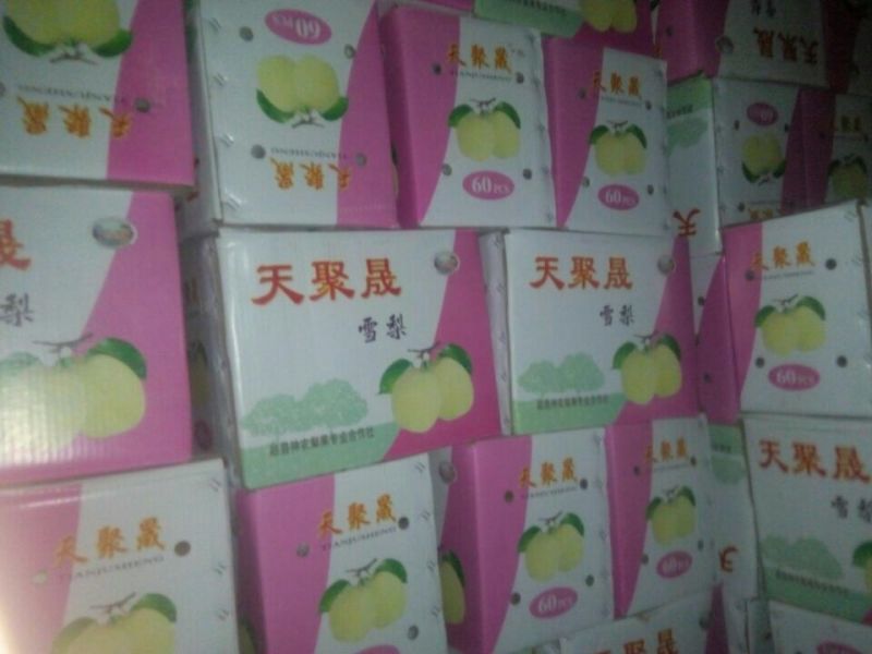 皇冠梨