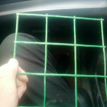 荷兰网