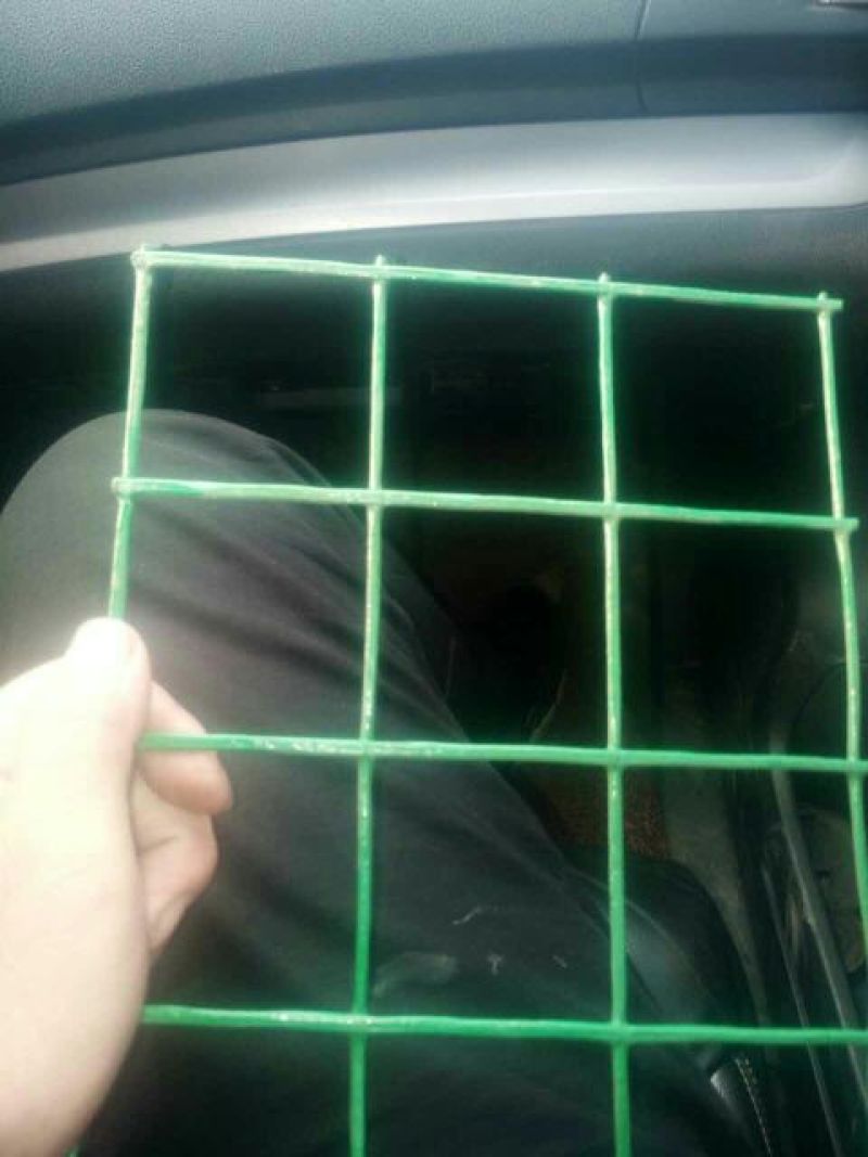 荷兰网