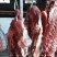 驴肉